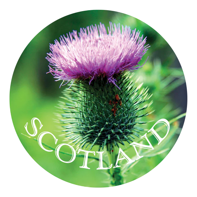 1b39643606152bbb565fd025370efbbf