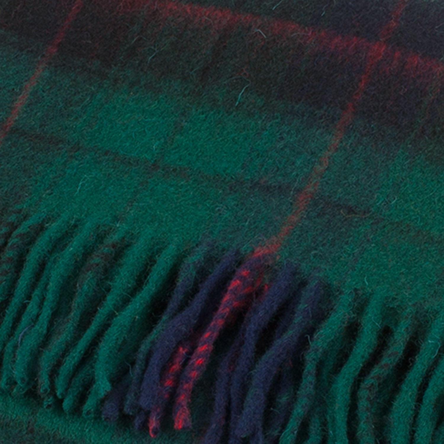 Lambswool Scottish Tartan Clan Scarf Davidson