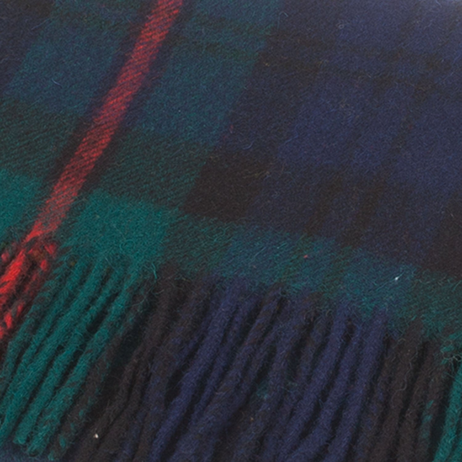 Lambswool Scottish Tartan Clan Scarf Macewan