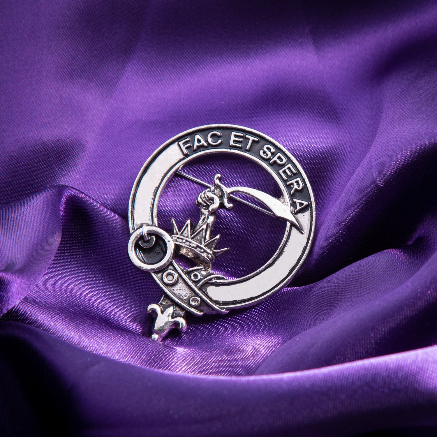 Clan Badge Matheson