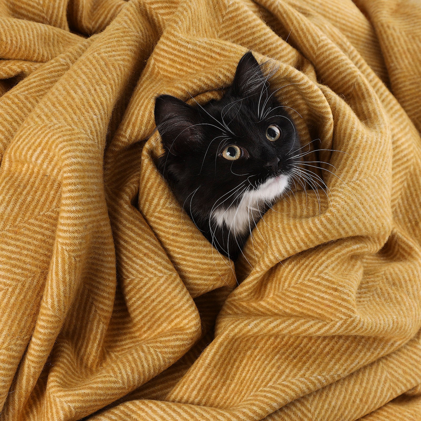 Herringbone Pet Blanket Mustard