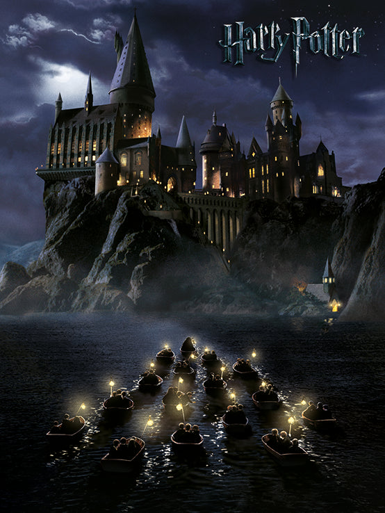 (D)Harry Potter (Hogwarts School)