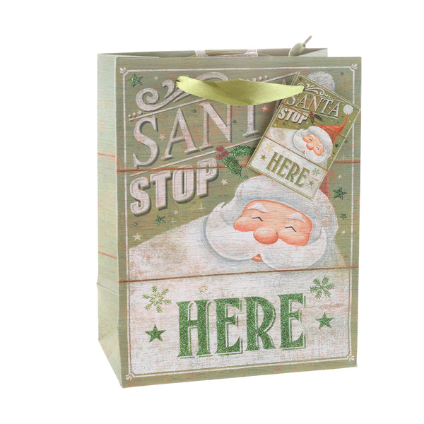 Gift Bag - Green Santa
