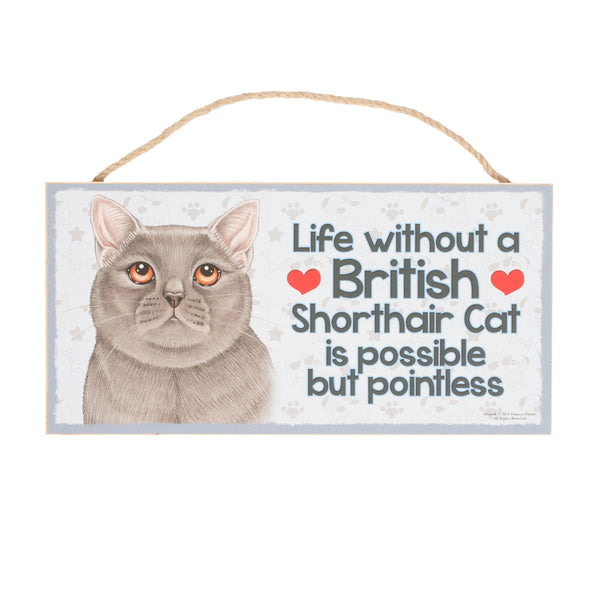 Pet Plaque British Shorthair Cat