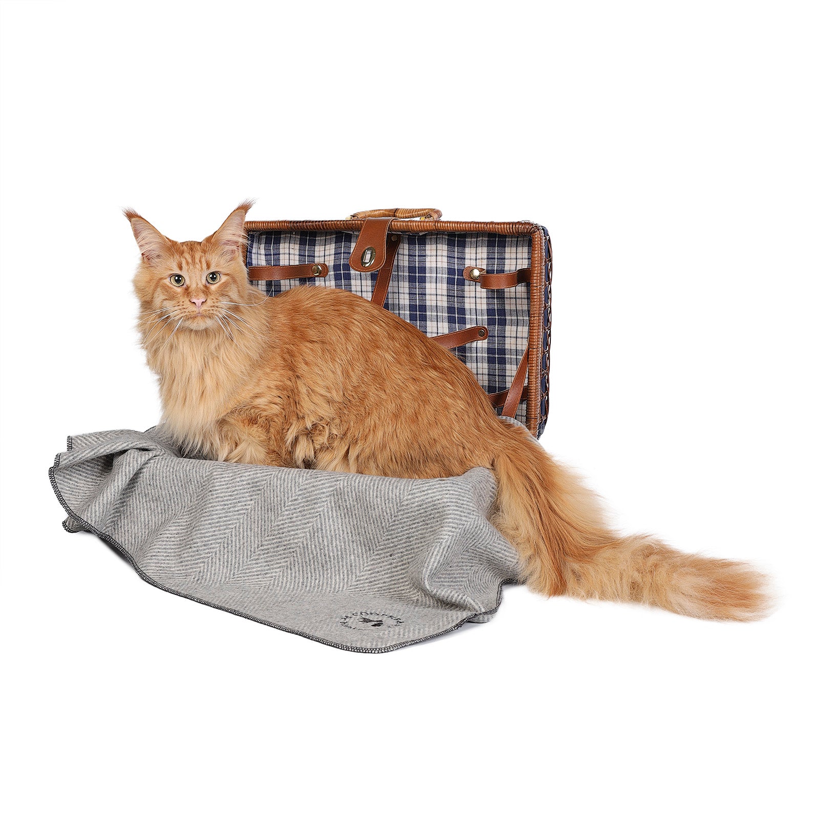 Herringbone Pet Blanket Grey Medium