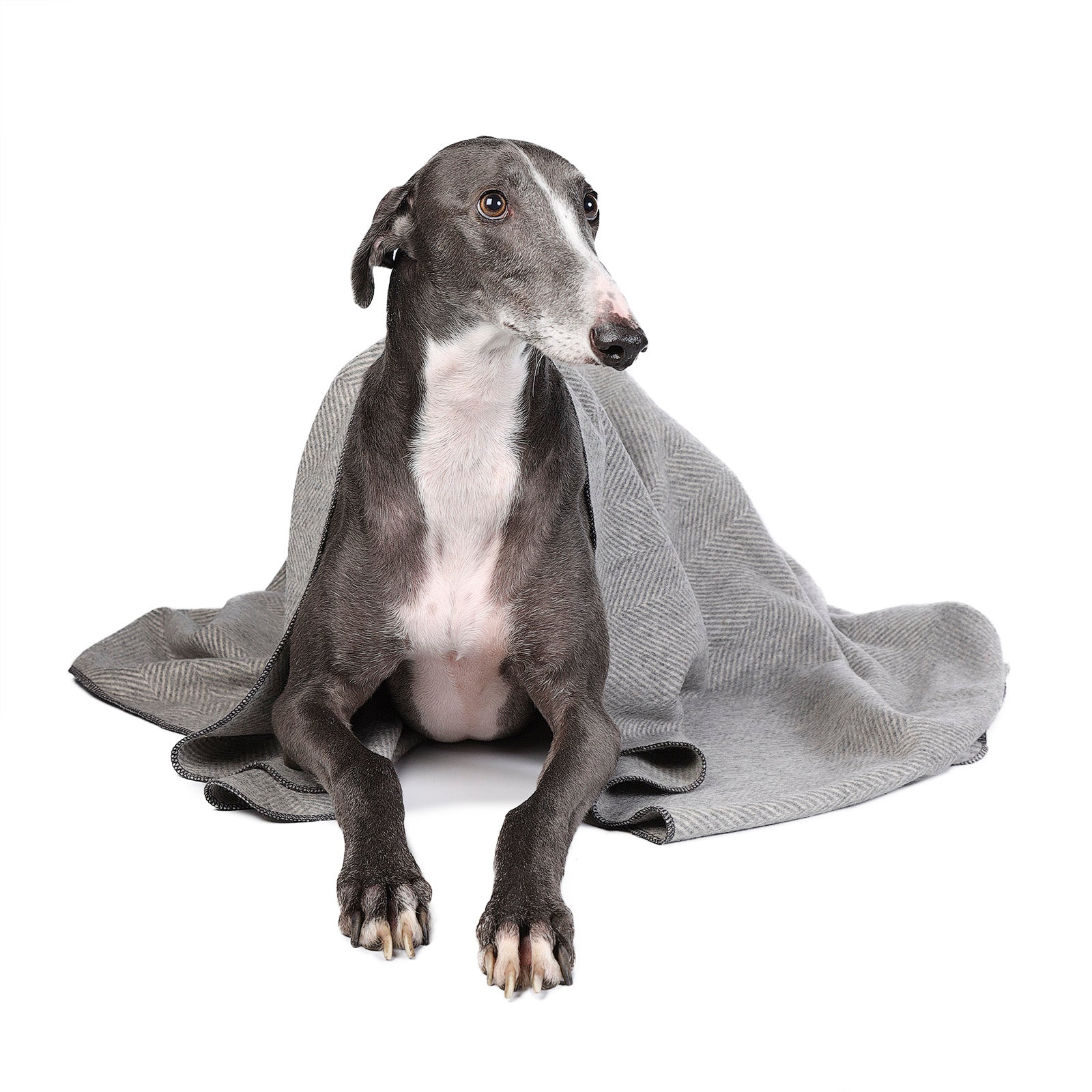 Herringbone Pet Blanket Grey Medium