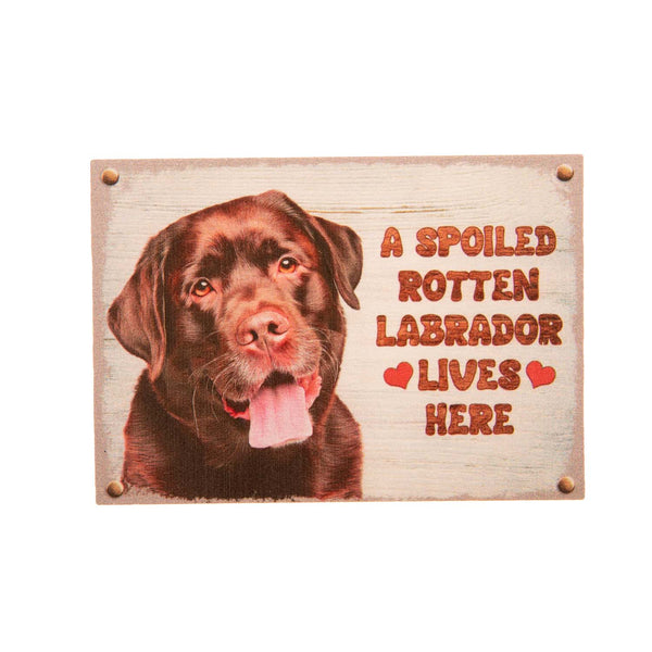 Pet Fridge Magnet Small Labrador Chocolate