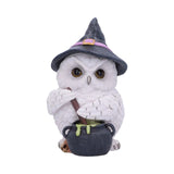Hp Owl Potion Figurine